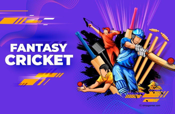 How to play fantasy cricket?